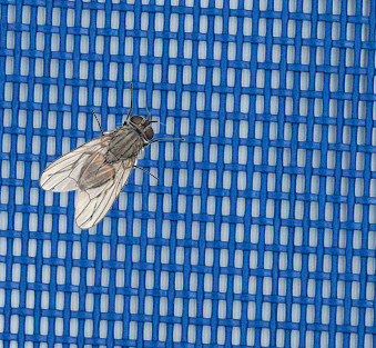 mesh-dock-door-curtain mesh-dock-door-curtain