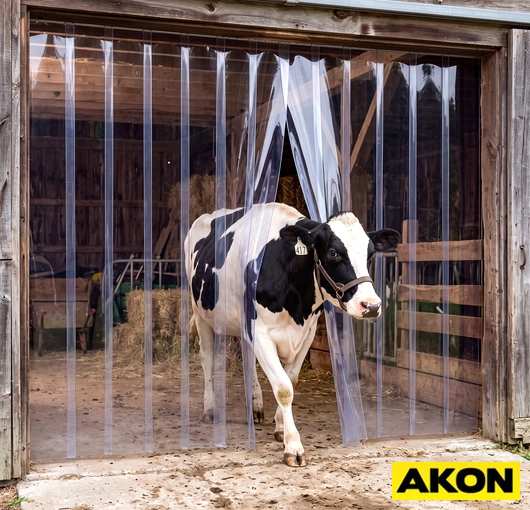Strip curtain installed at a livestock barn entrance with cows passing through the doorway.