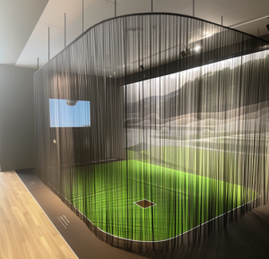 Steel Mesh Golf Curtain Enclosure for golf simulators (1)