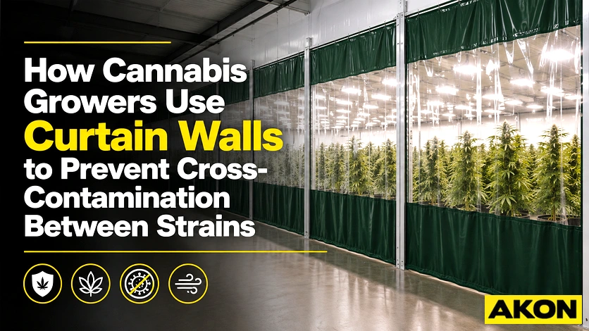 Industrial curtain walls dividing sections of a cannabis grow room to control environment and separate cultivation stages.