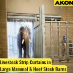 clear-vinyl-strip-curtains-hoof-stock-barn