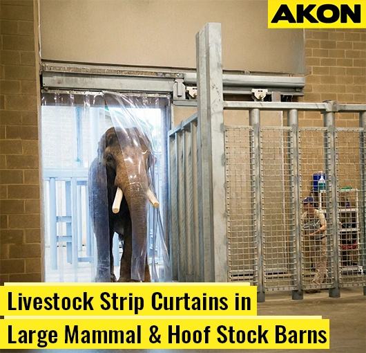 clear-vinyl-strip-curtains-hoof-stock-barn